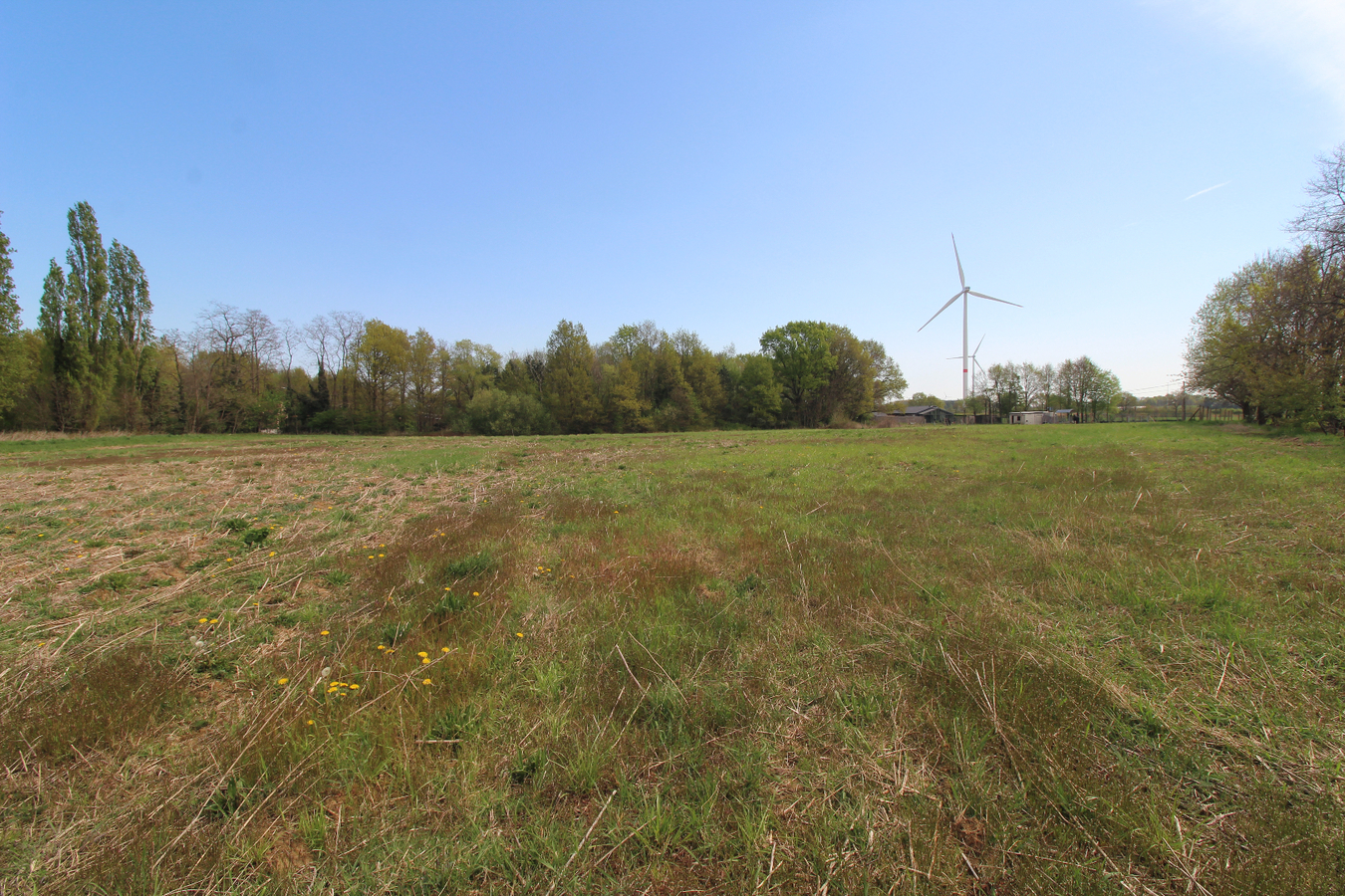 Pasture land for sale in Bekkevoort
