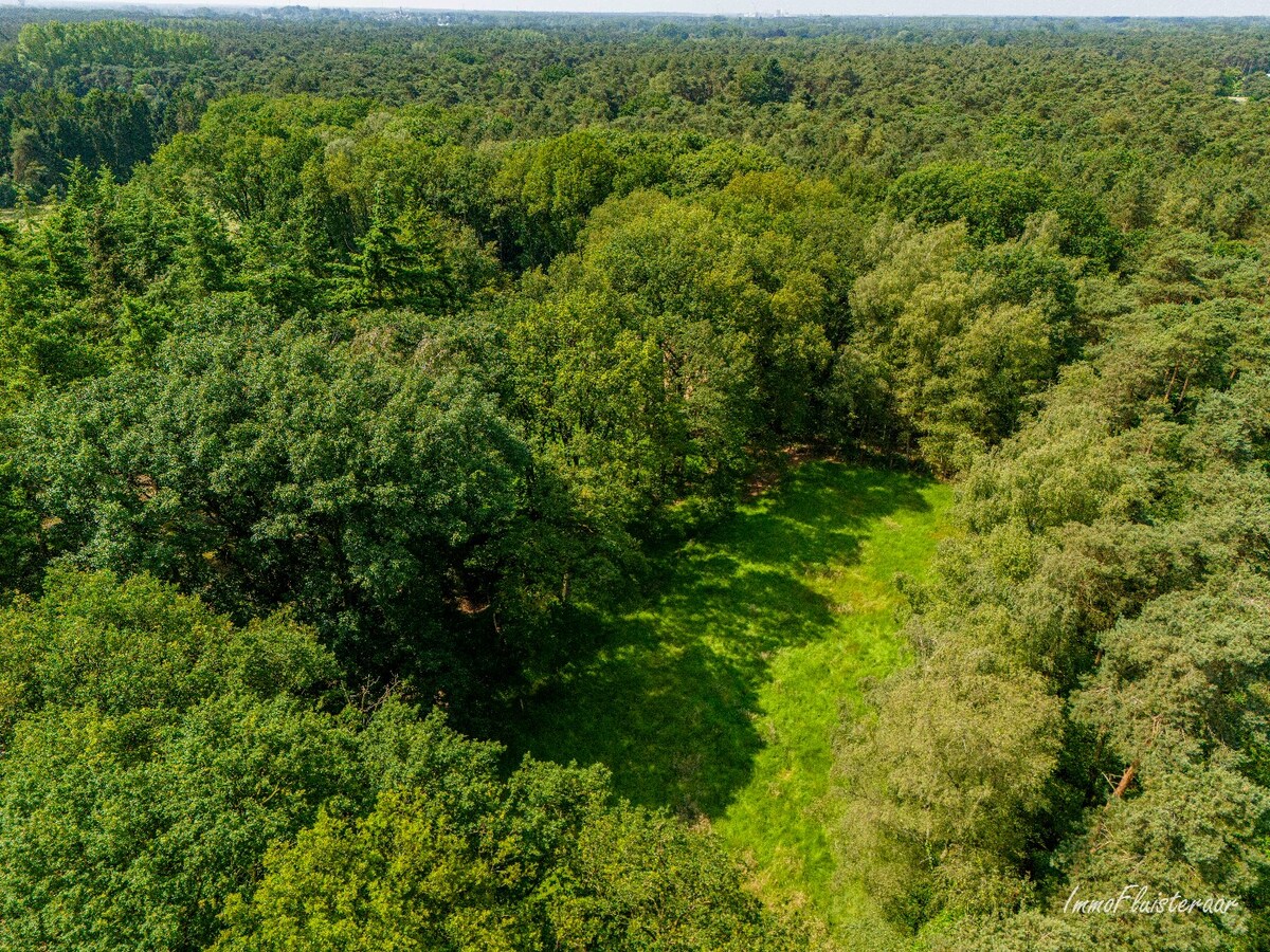 Uniek domein met woning op ca. 3,6 ha gelegen te Balen (optie tot aankoop ca. 10 ha aanpalend bos- en weiland) 