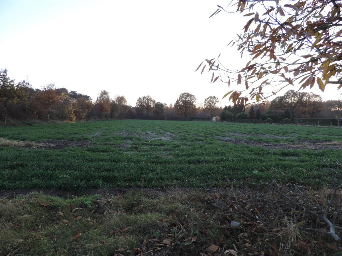 Farm sold in Hechtel-Eksel