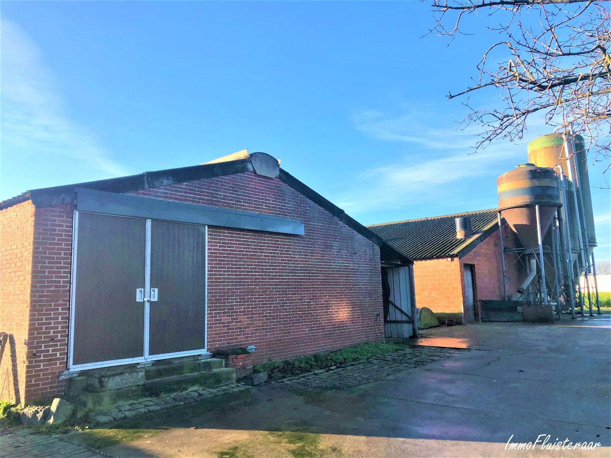 Boerderij met stalgebouwen en weilanden op ca. 1,17ha met uitbreidingsmogelijkheden van 5ha te Bree 