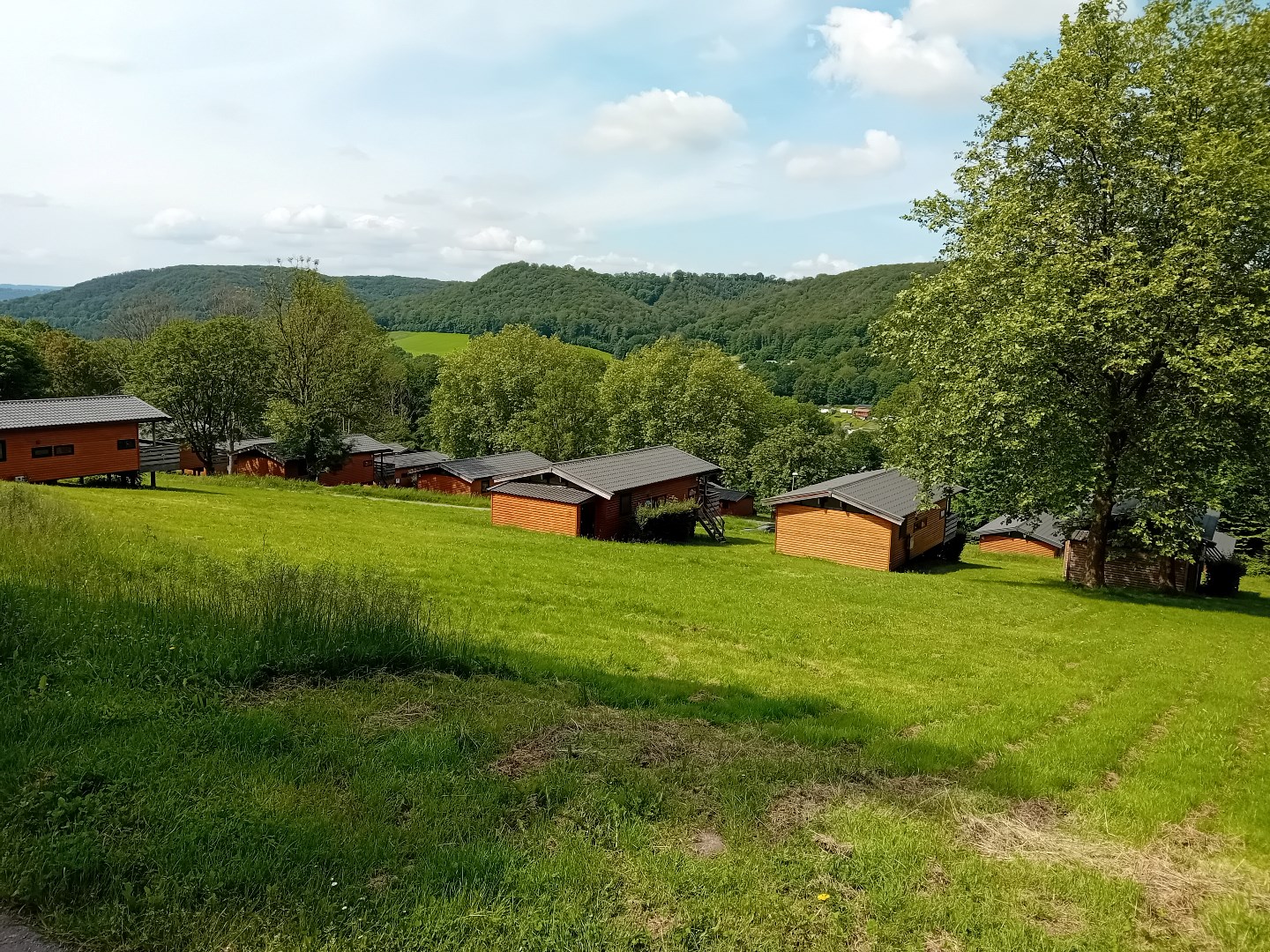 Vakantiebungalow voor acht personen in Blaimont 