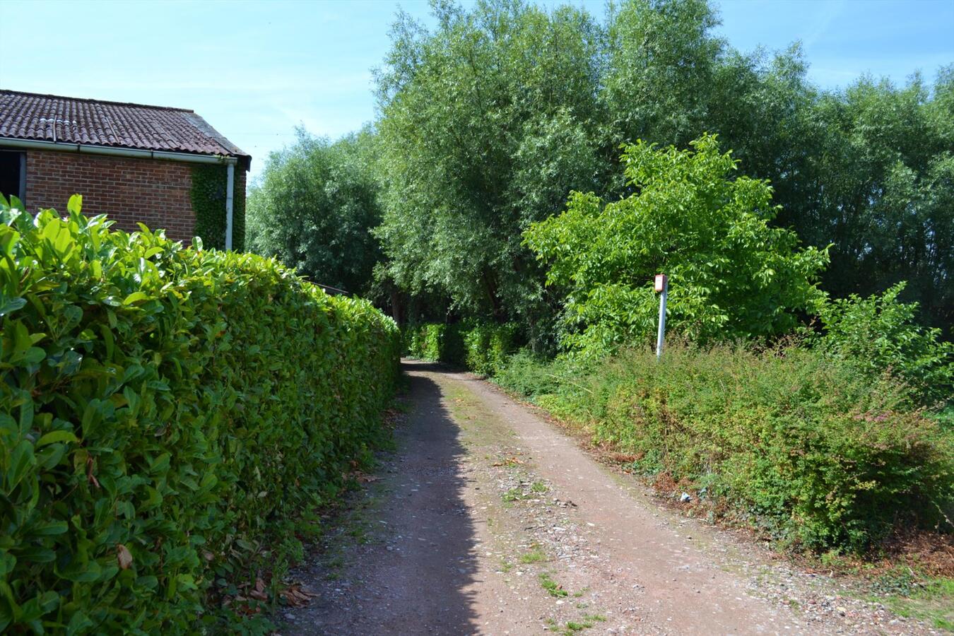 Te renoveren hoeve te Schelle op ca. 1.300M&#178; 