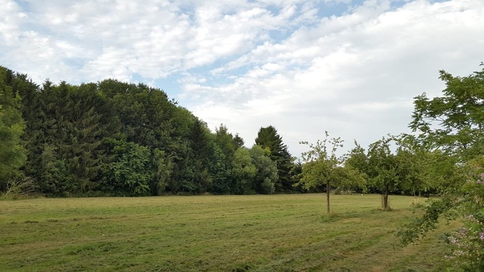 Te renoveren vierkantshoeve op ca. 2,1 ha met zeer goede ligging te Alken 