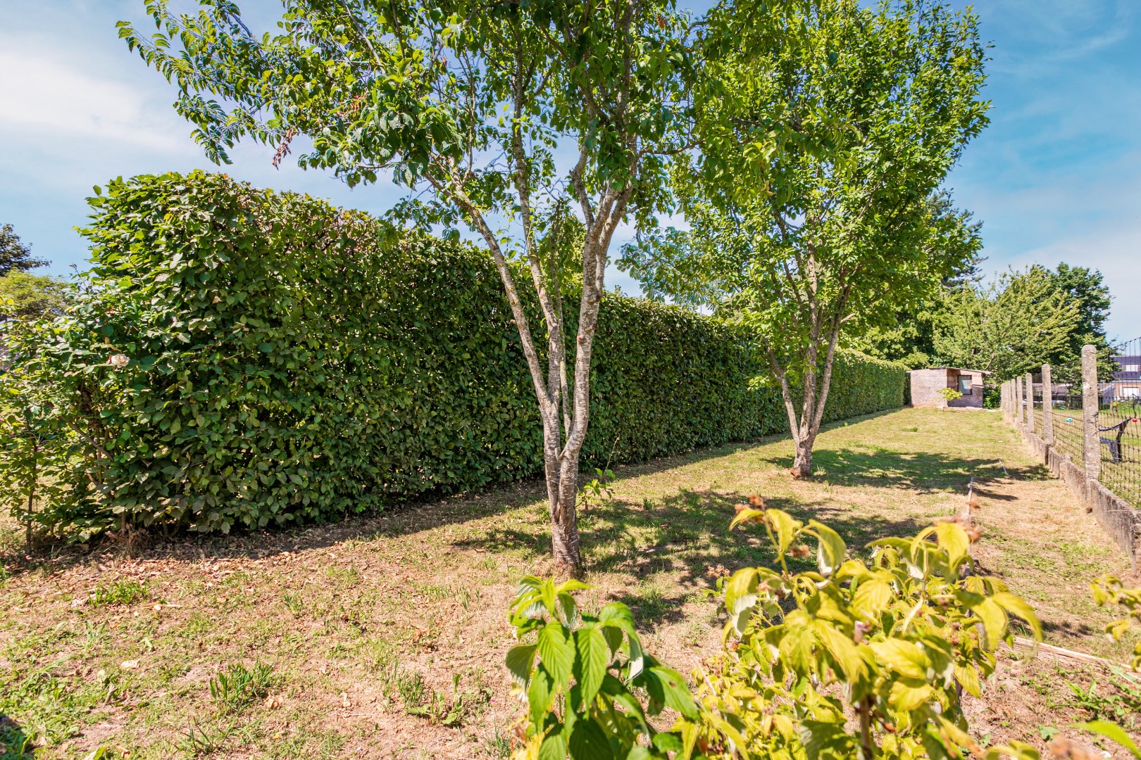 Ruime en energiezuinige (EPC A) woning met 5 slaapkamers, bureau, garage en tuin 