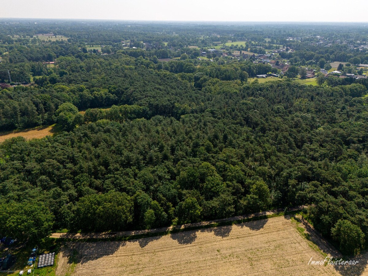 Uniek domein met woning op ca. 3,6 ha gelegen te Balen (optie tot aankoop ca. 10 ha aanpalend bos- en weiland) 