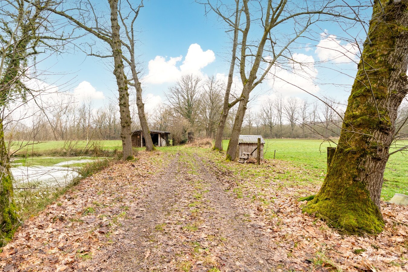 Uniek casco landhuis op een idyllische  locatie op ca. 8,26 ha te Diest 