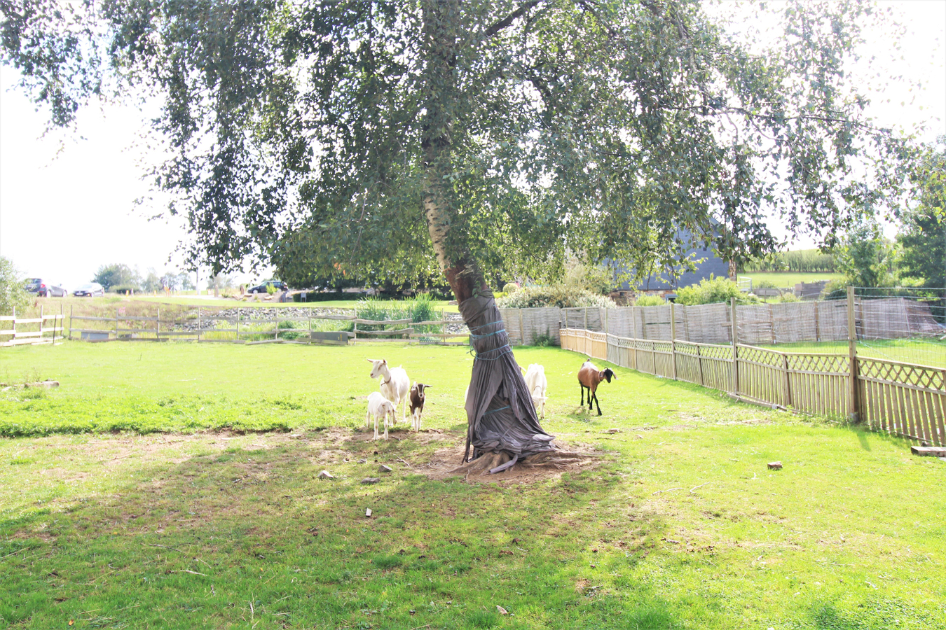 OPTION - Maison avec d&#233;pendances et pr&#233;s sur environ 1,64ha &#224; Ambl&#232;ve (Li&#232;ge) 