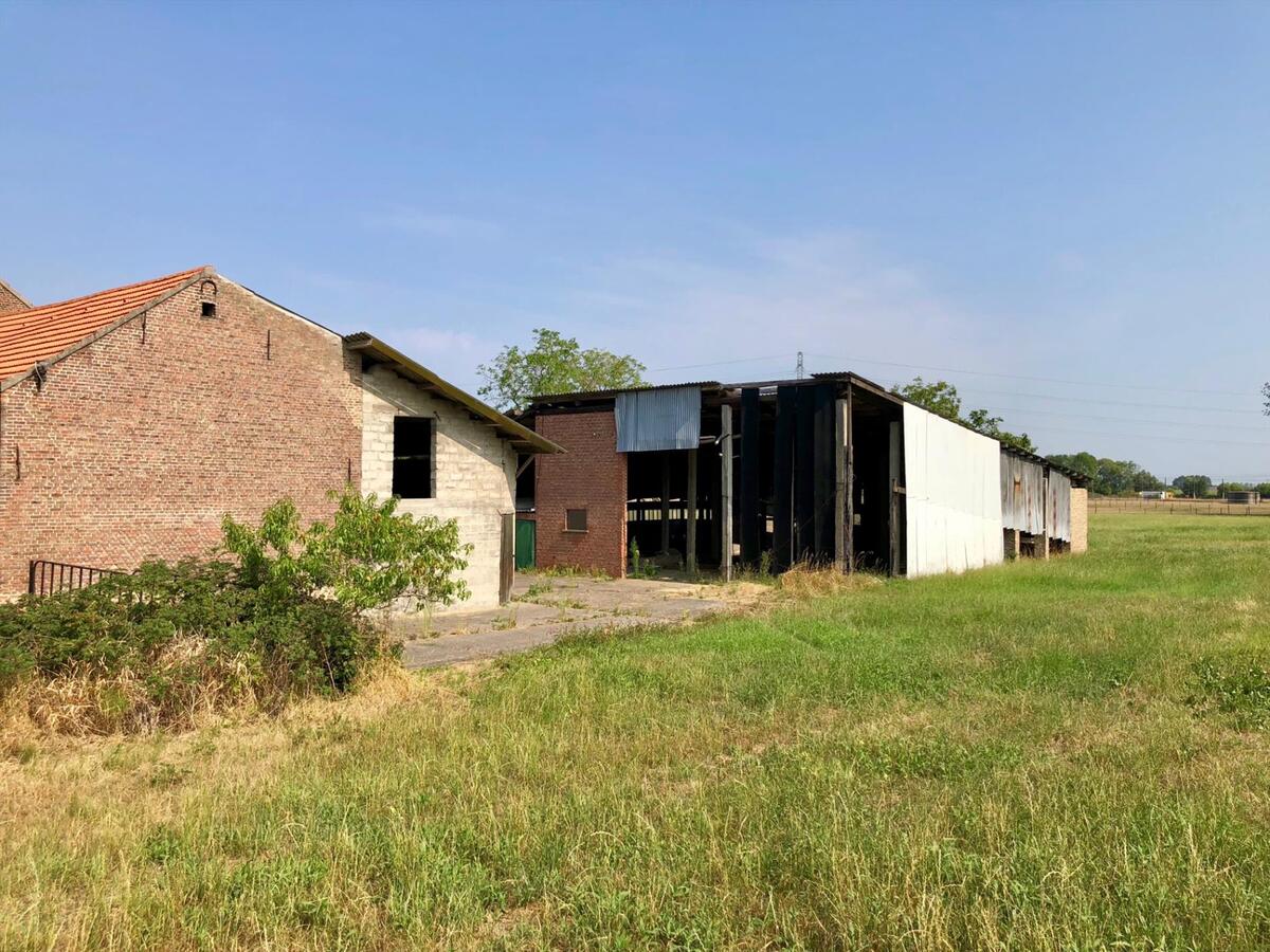 Te renoveren hoeve op 1,36 Ha te Tildonk (Vlaams-Brabant) 