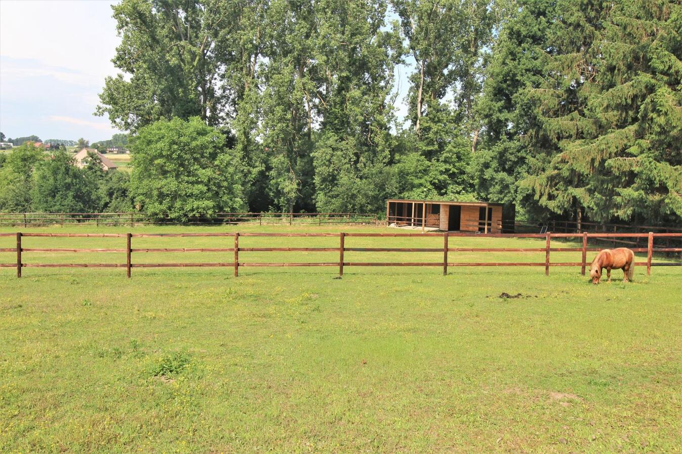 Recent house with stable building, shelter and meadows at approximately 74 a in Lubbeek (Flemish Brabant). 