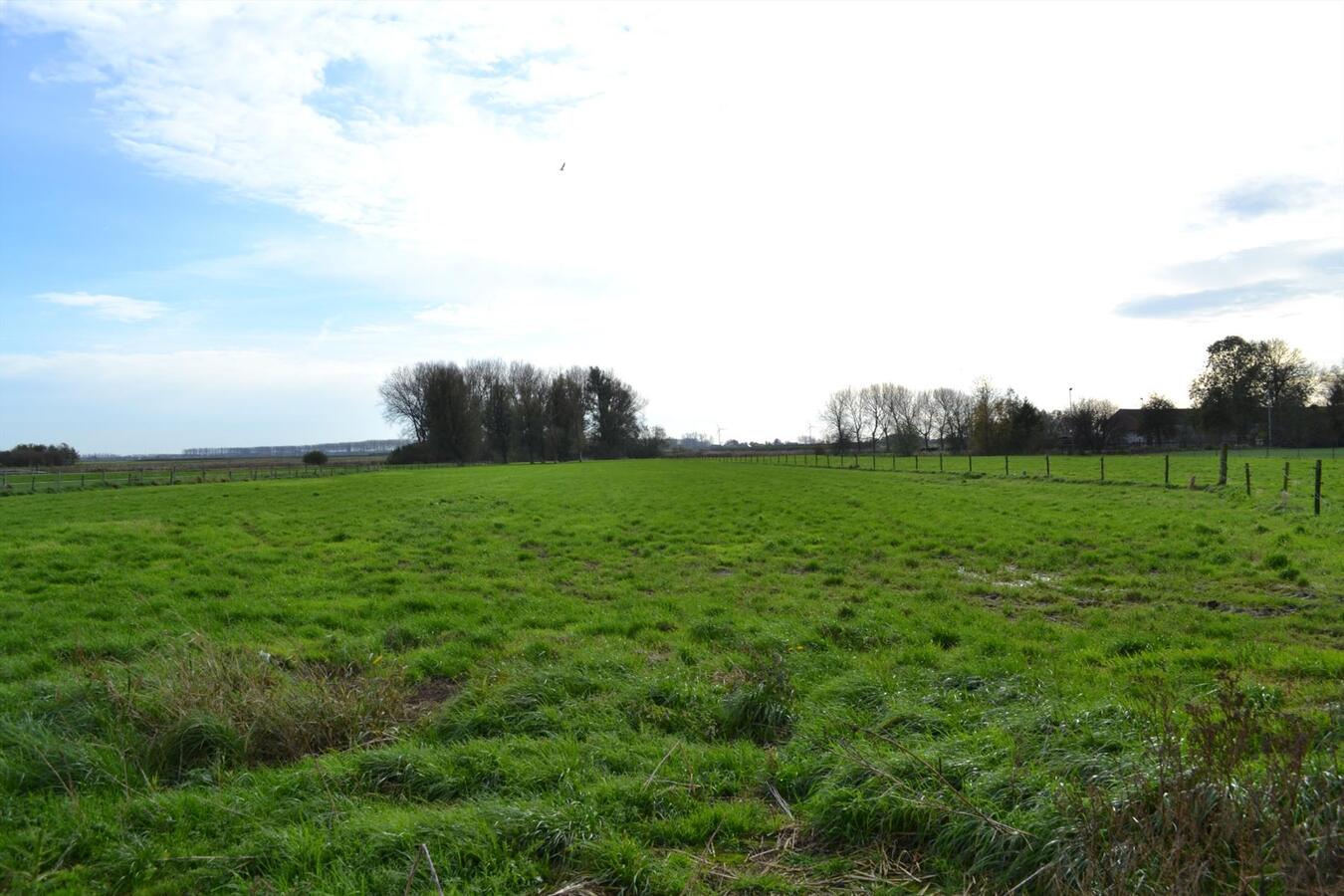 Te renoveren hoeve op ca 2,4 ha te Meerdonk 