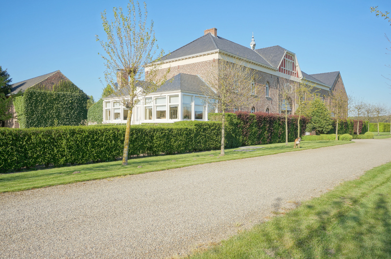 Landgoed met paardenstallen op ca. 7,5 Ha te Maaseik 