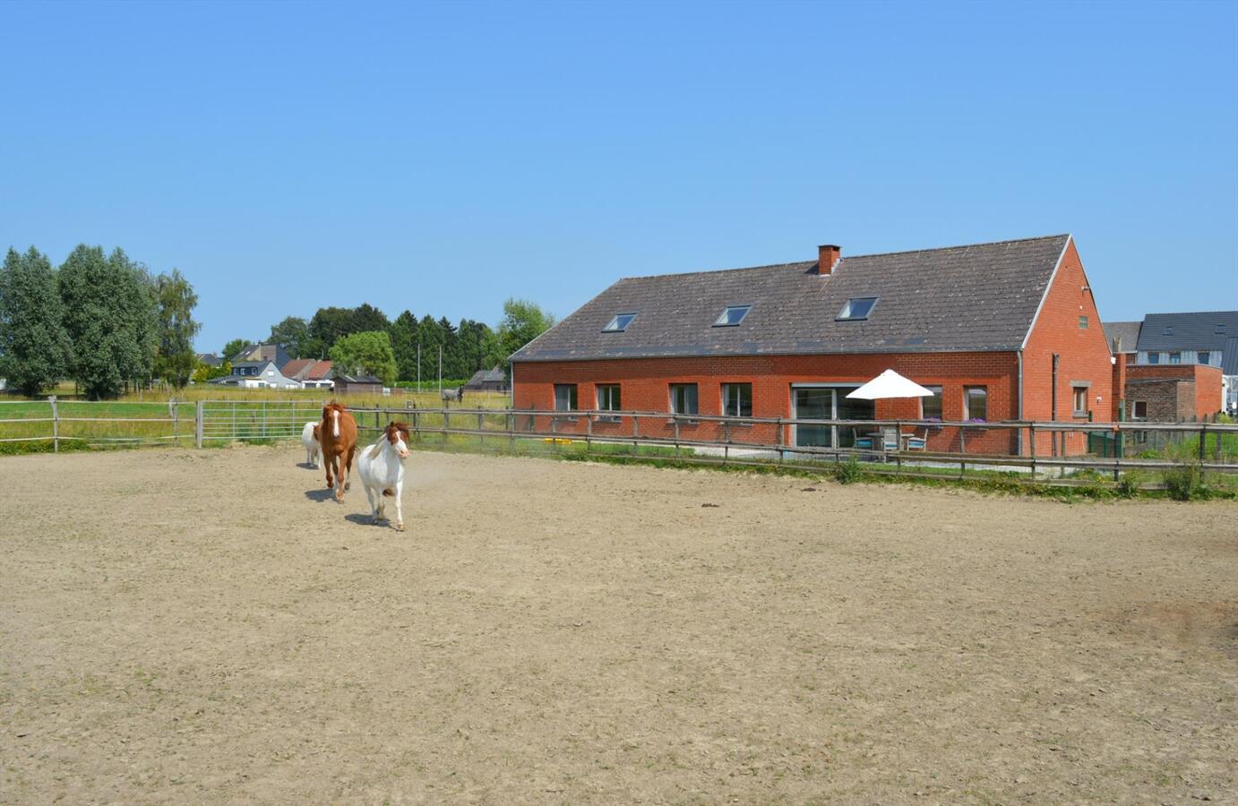 Gerenoveerde woning op ca. 6500m&#178; te Buggenhout 