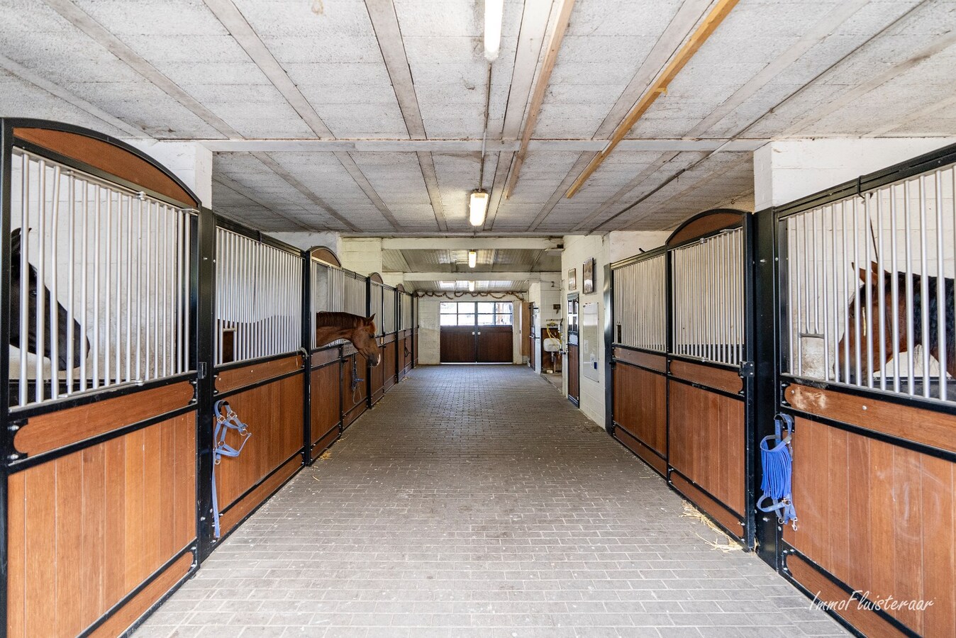 Uniek landhuis met uitgebreide paardenaccommodatie op ca. 1ha te Diepenbeek 