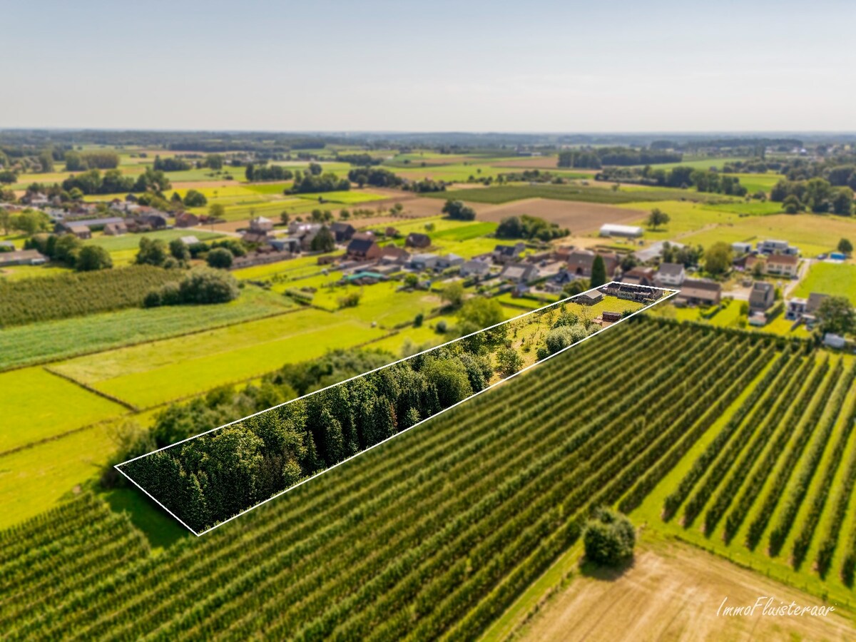 Instapklare landelijke villa op een ruim perceel van ca. 65a te Meensel-Kiezegem (Tielt-Winge). 