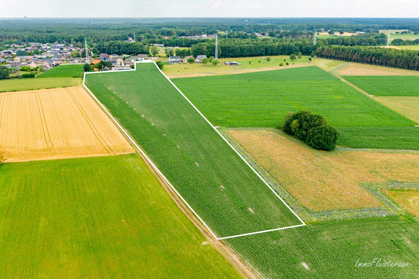 Bouwgrond met achterliggende gronden op ca. 2,5 ha te Wijshagen (Oudsbergen) 