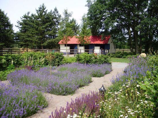 Gerenoveerde hoeve met stalgebouw op ca. 1,2 ha 