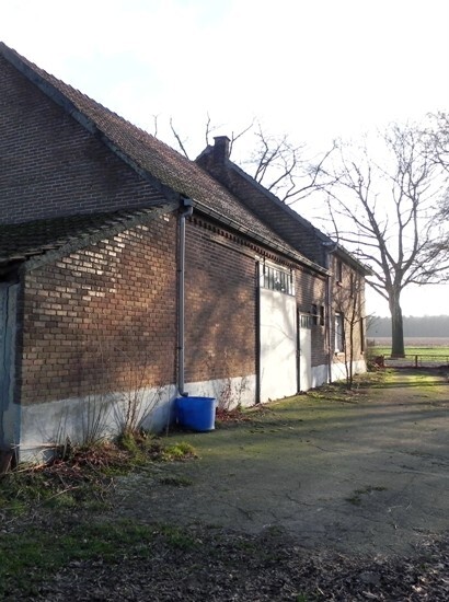 Te renoveren boerderij op 1.74 Ha te Meeuwen-Gruitrode 