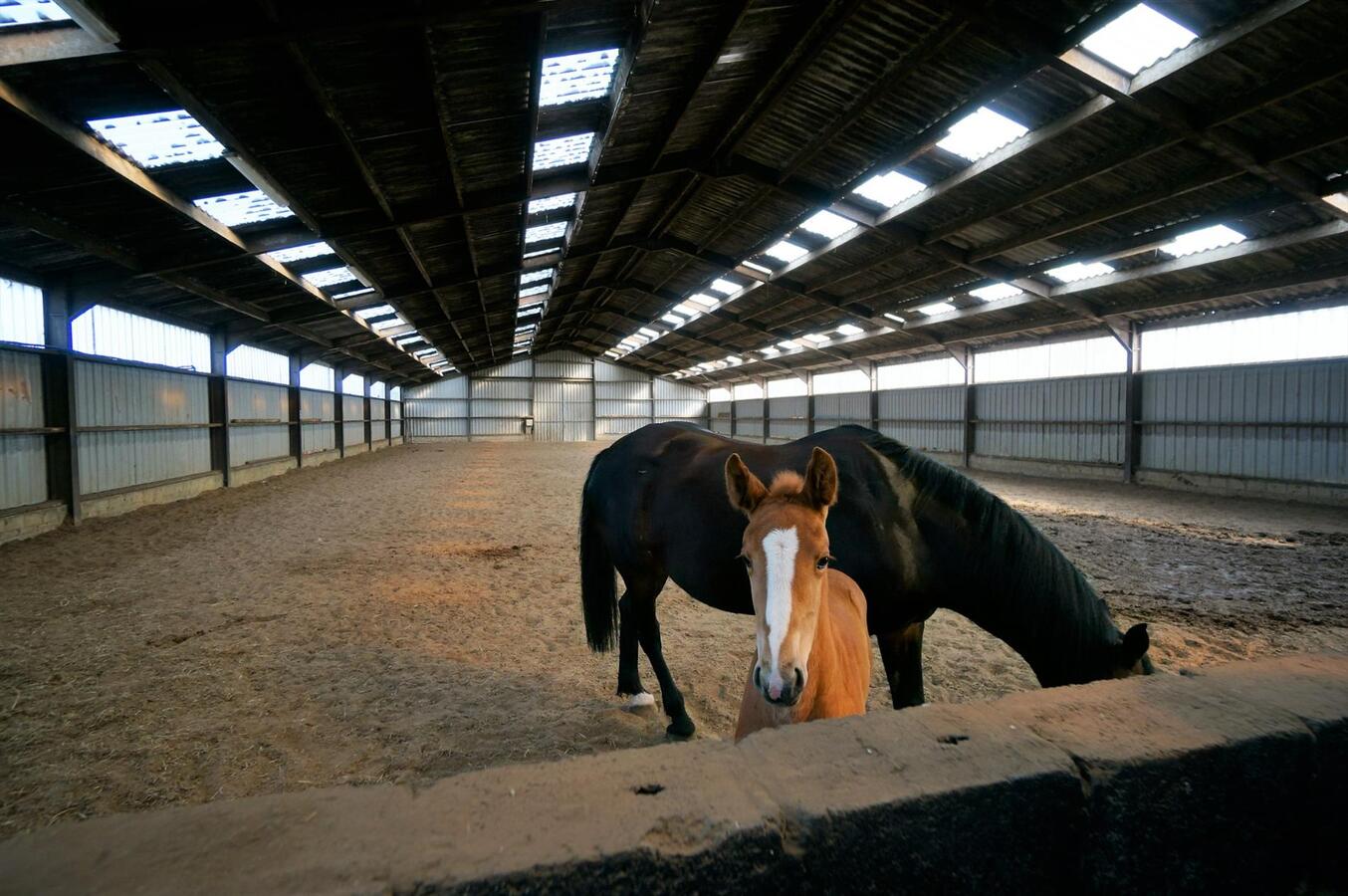 Farm sold in Loenhout