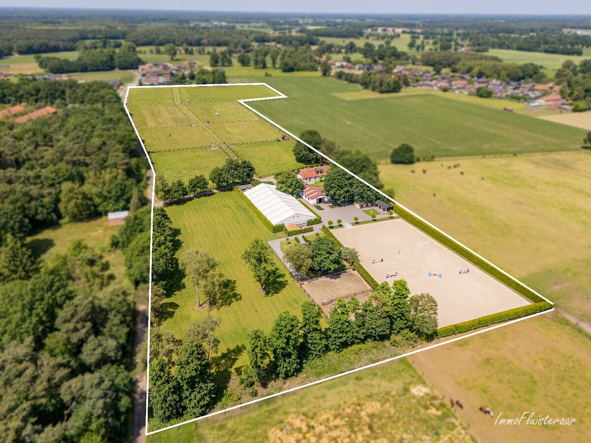 Complete horse accommodation on approximately 3.5 hectares in Helchteren 