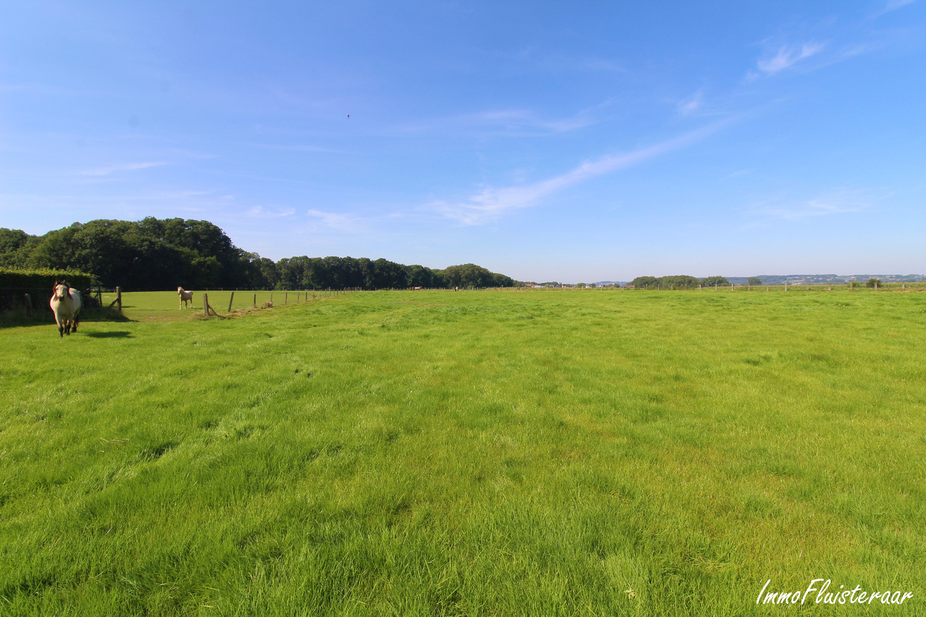 Pasture land for sale in Galmaarden