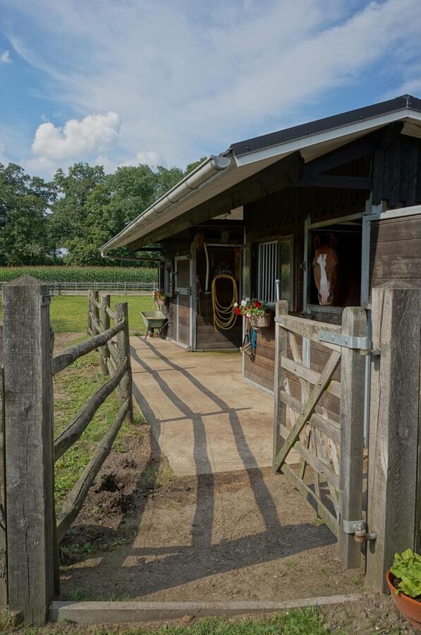 Landhuis met stallen, piste en weide op ca. 3800m&#178; te Neerpelt (Limburg) 