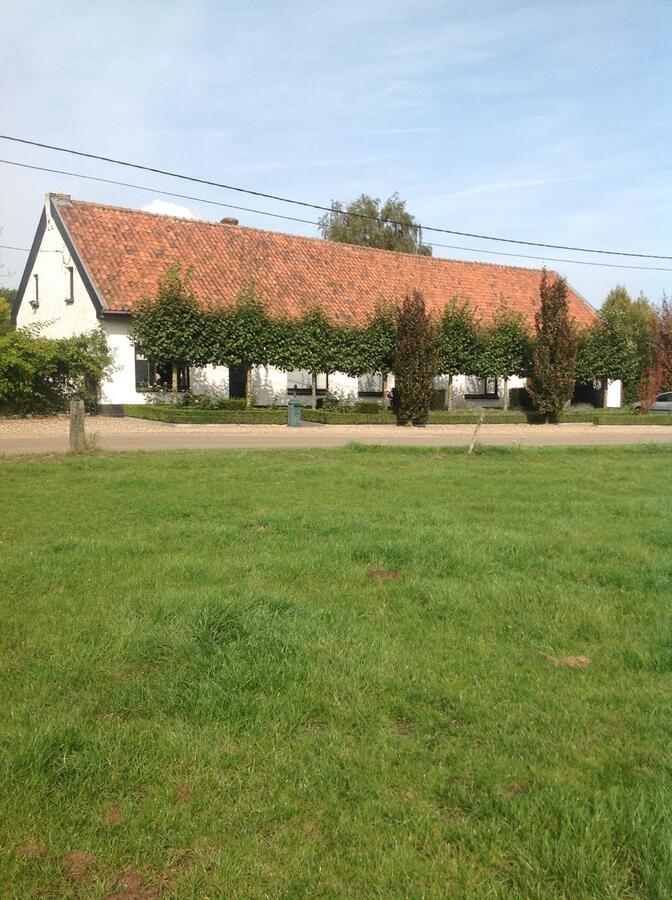 Ferme vendu À Kinrooi