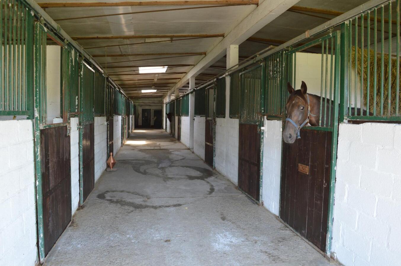 Paardenhouderij met 40 stallen en drafbaan op 4,64ha te Brakel 