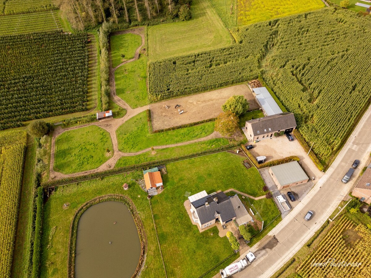 Charmante instapklare woning met paardenfaciliteiten op ca. 75a te Waanrode. 