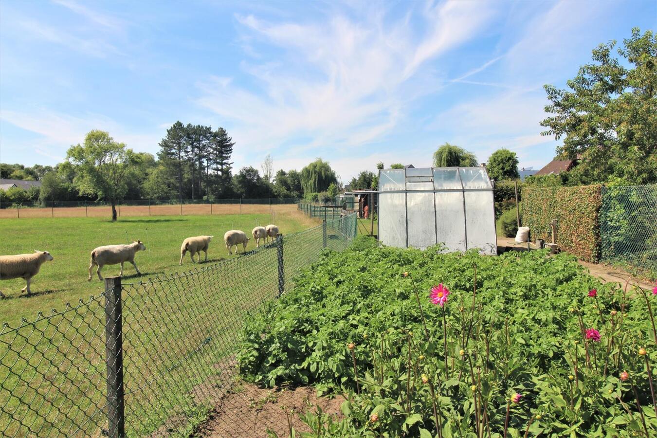 OPTIE - Charmante woning met aanhorigheden en achterliggende weilanden op ca. 1,5ha te Boortmeerbeek (Vlaams-Brabant) 