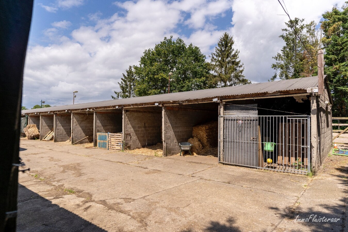 Paardenaccommodatie met 46 stallen, buitenpiste en hangaar op ca. 55 are te Linkhout (Lummen) 