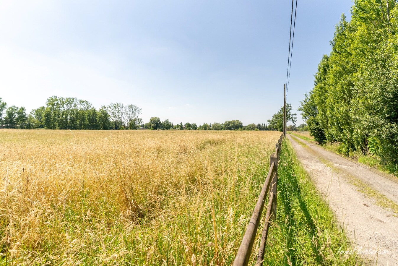 Paardenaccommodatie met woning op ca. 80a te Duffel (Optioneel bij te kopen weilanden van ca. 3 ha) 