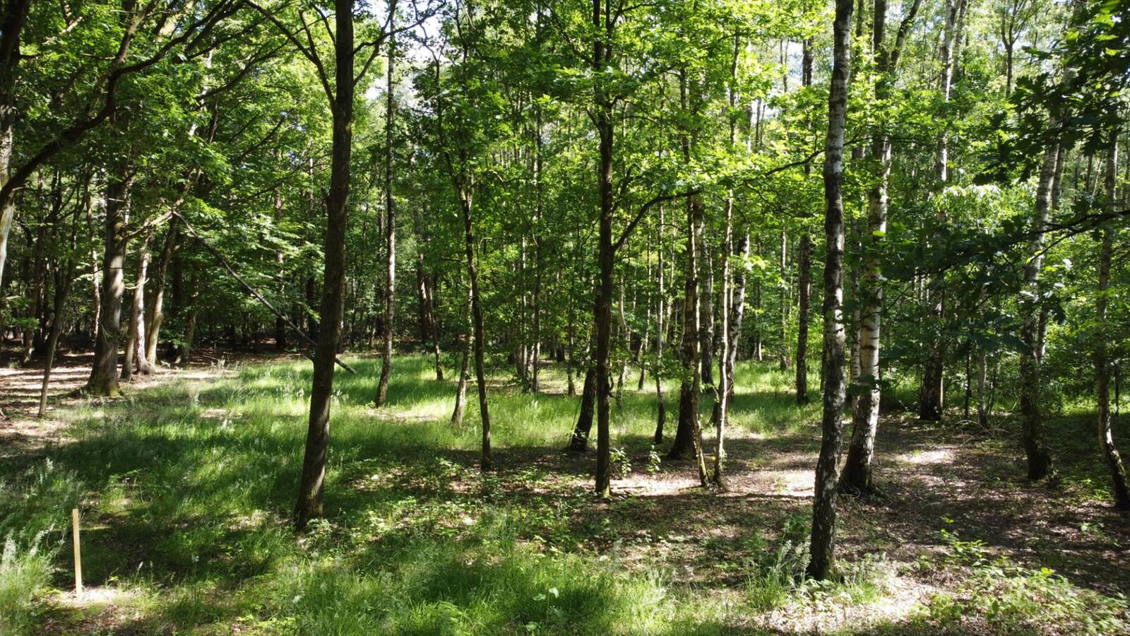 Uitzonderlijk rustig gelegen perceel van 2.500 m&#178; met priv&#233; oprijlaan van ca. 60 m grenzend aan natuurgebied te Brecht. 