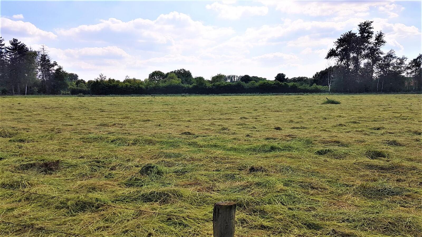 Farm sold in Tessenderlo