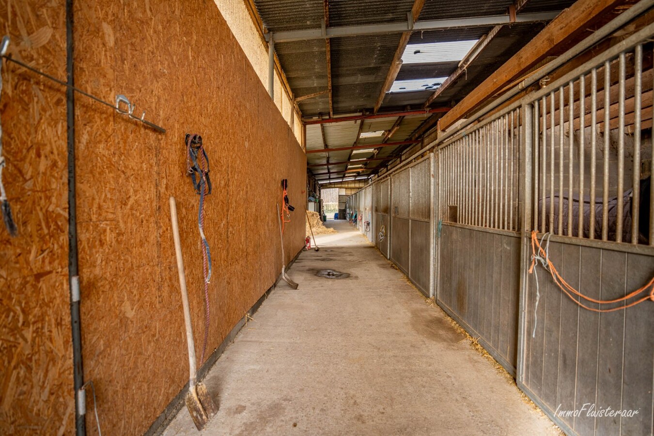 Prachtig paardencomplex met bedrijfswoning, ca. 33 stallen en binnenpiste op meer dan 5,6ha te Bever (Vlaams-Brabant) 