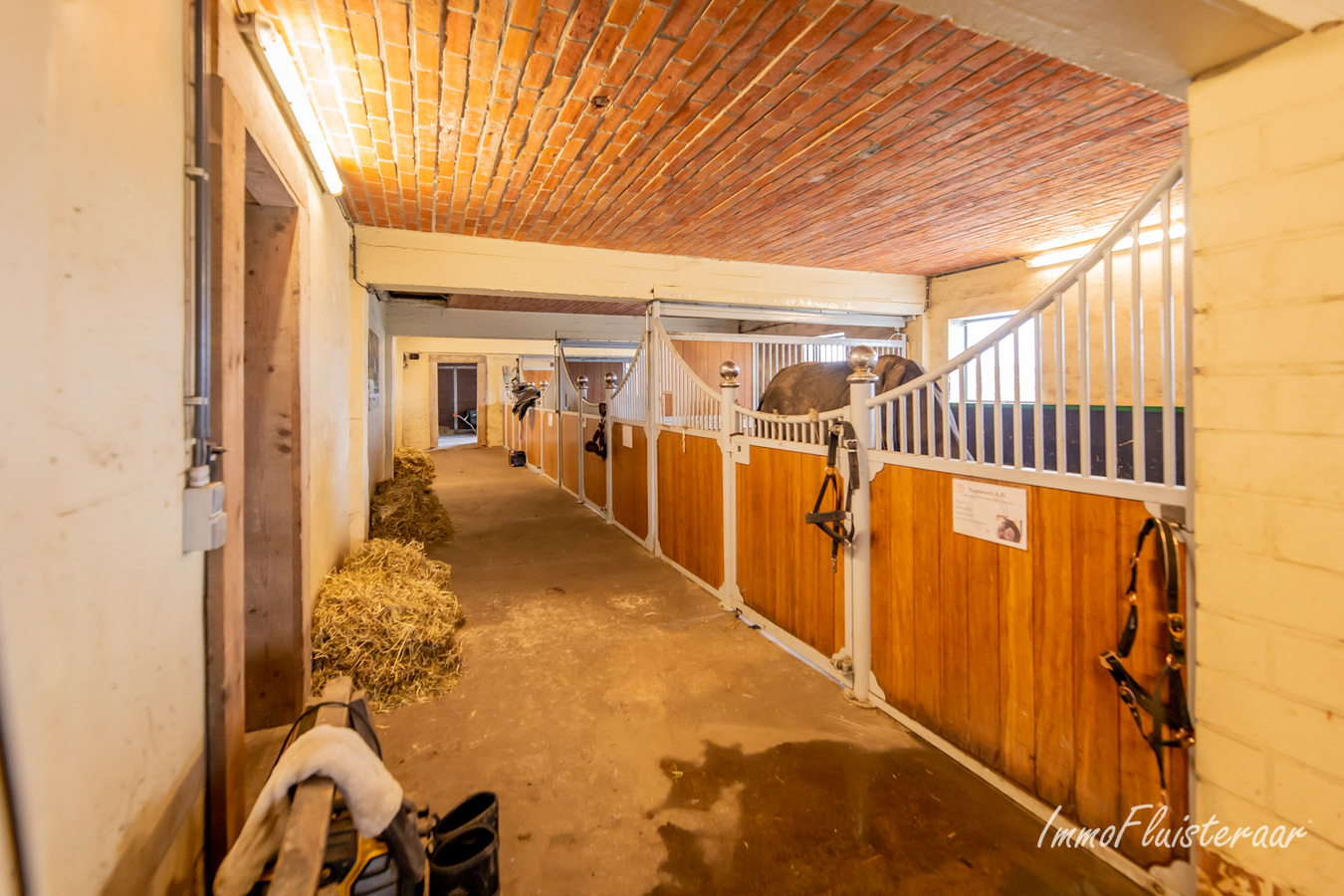 Charmante woning met paardenaccommodatie op 3,7ha te Rijkevorsel 