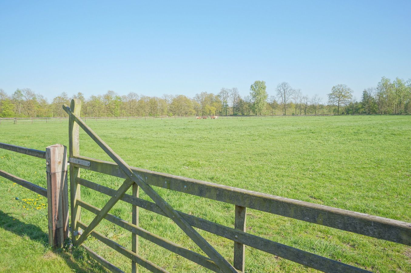 Domein met paardenstallen op ca. 7,5 ha te Maaseik 