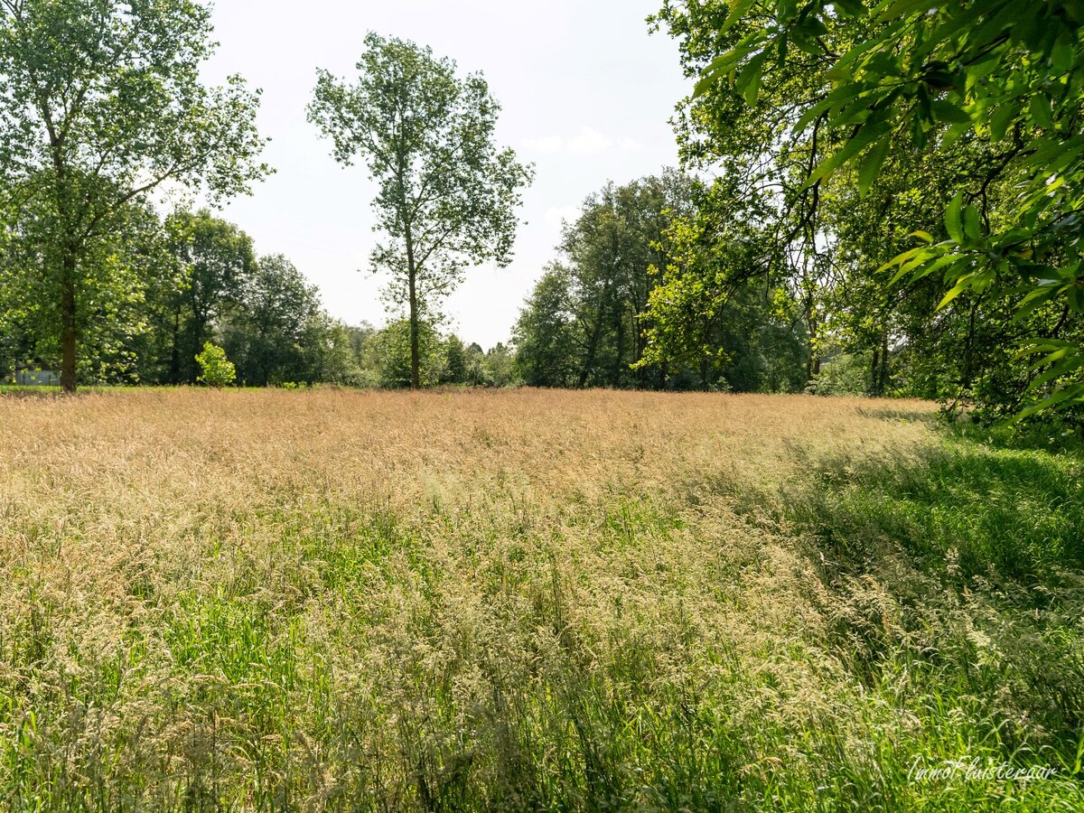 Uniek domein met woning op ca. 3,6 ha gelegen te Balen (optie tot aankoop ca. 10 ha aanpalend bos- en weiland) 