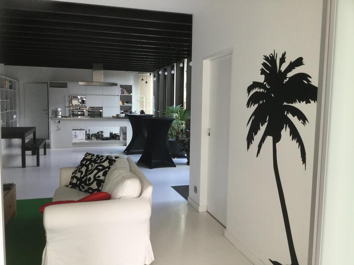 Moderne woning in loftstijl met tuin en garage 