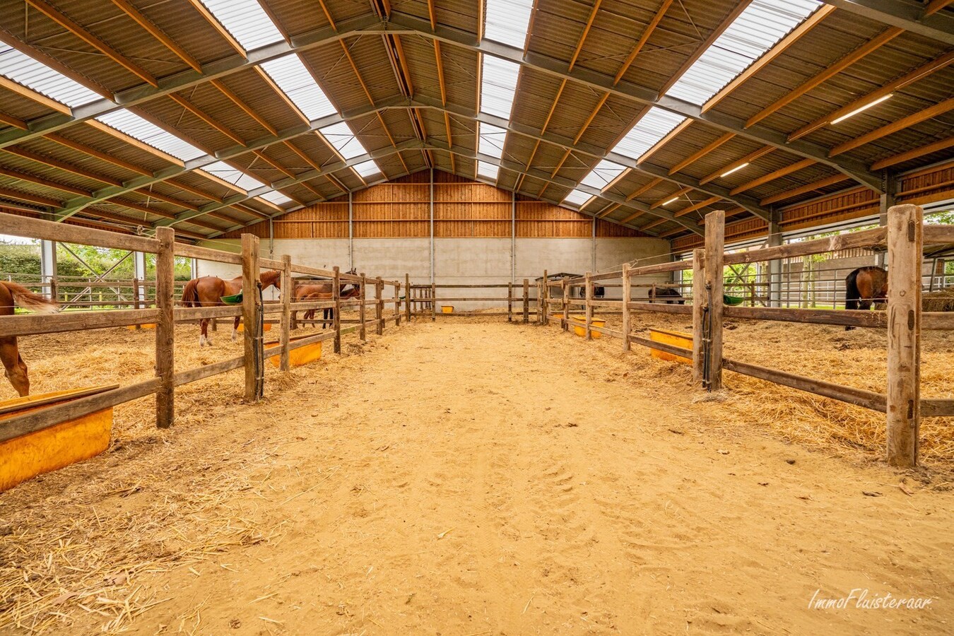 Charmante hoeve met paardenfokkerij op ca. 4,5 Ha te Noorderwijk 