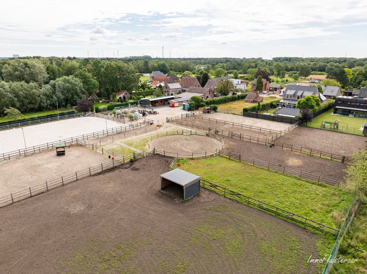 Uniek landhuis met uitgebreide paardenaccommodatie op ca. 1ha te Diepenbeek 