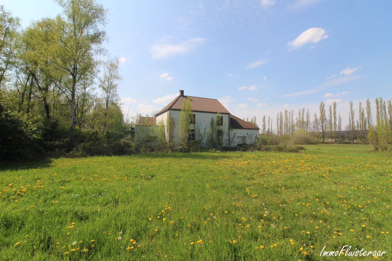 IN OPTIE - Te renoveren woning met stalgebouw/landgebouw en grond op ca. 4,20ha te Aarschot (Vlaams-Brabant) 