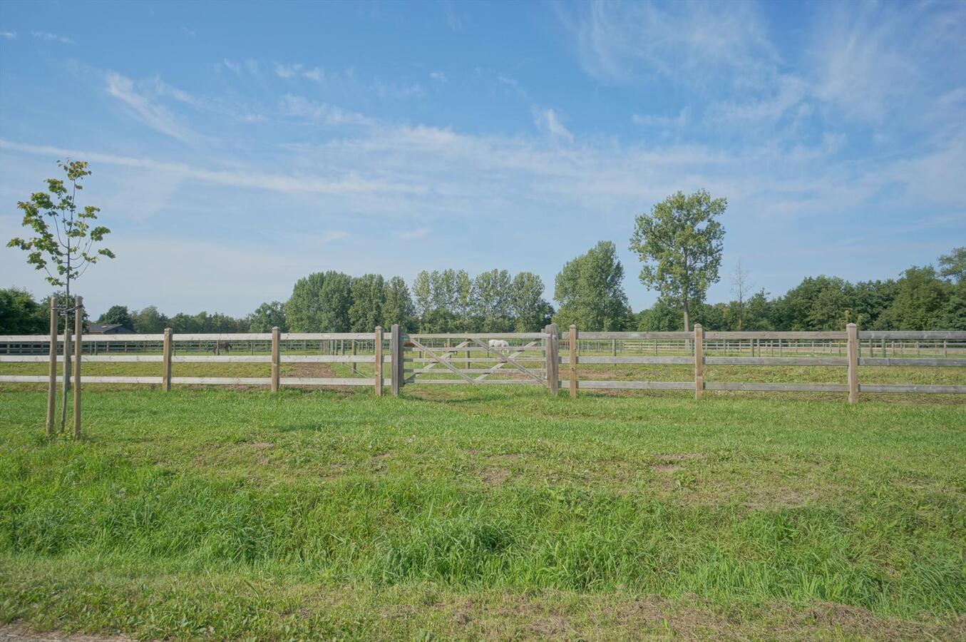 Hippisch complex met inpandige woning op ca. 6,5 ha te Laakdal 