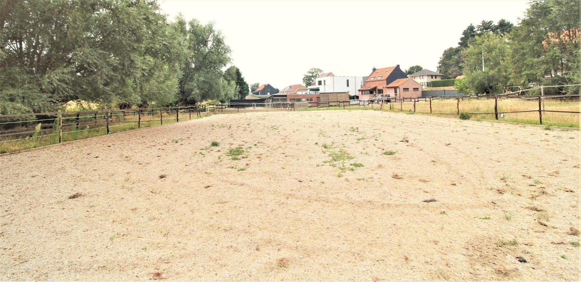 Renovated house with stable building, large barn and outdoor arena on approximately 43a in Boutersem (Flemish Brabant) 