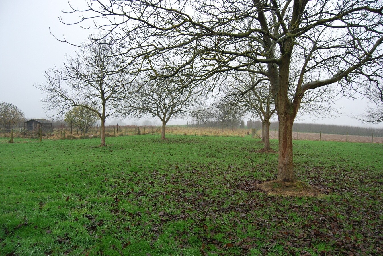 Farm sold in Vlezenbeek