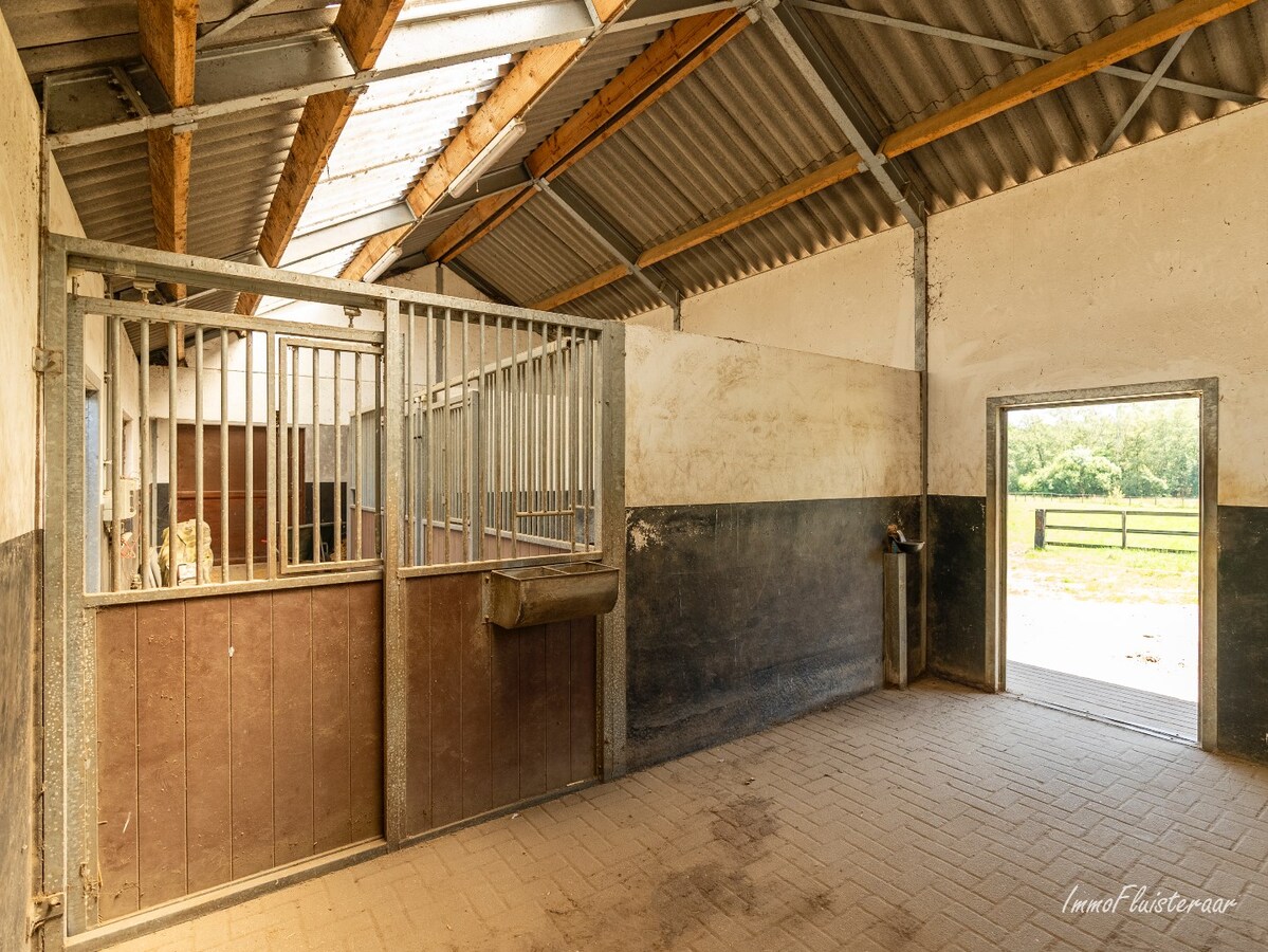 Charmante woning met paardenstallen op ca. 80 are te Peer 