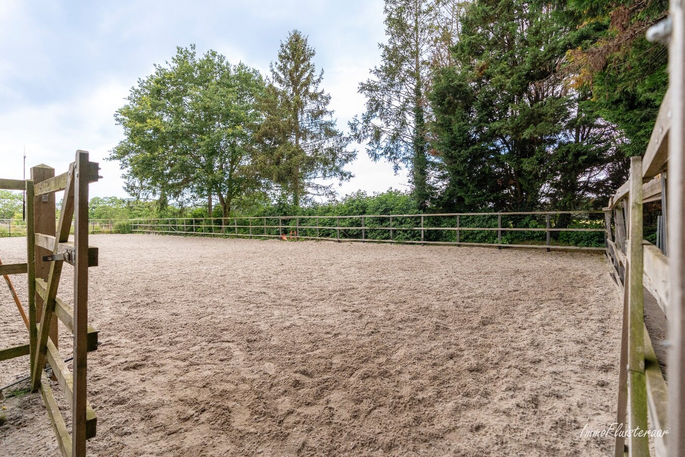 Paardenaccommodatie met 46 stallen, buitenpiste en hangaar op ca. 55 are te Linkhout (Lummen) 