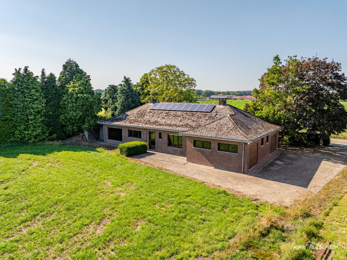 Renovation property on approximately 3,717 m2 in Rijkevorsel (Optional to purchase additional meadow further down of approximately 8,858 m2) 