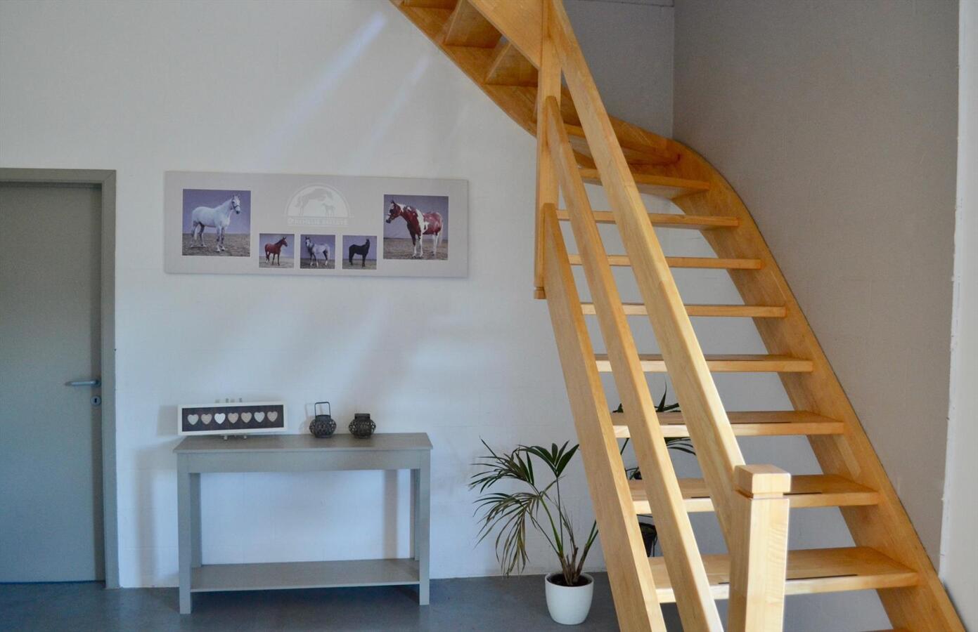 Unieke kans op paardenaccommodatie met binnenpiste (15m x 30m) en appartement op ca. 1,3 Ha te Waasmunster - NIEUWE PRIJS 