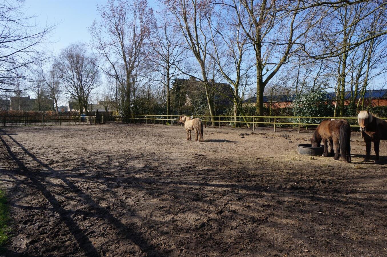 Hoeve met stallen en weide op ca. 1,12 ha te WEELDE 