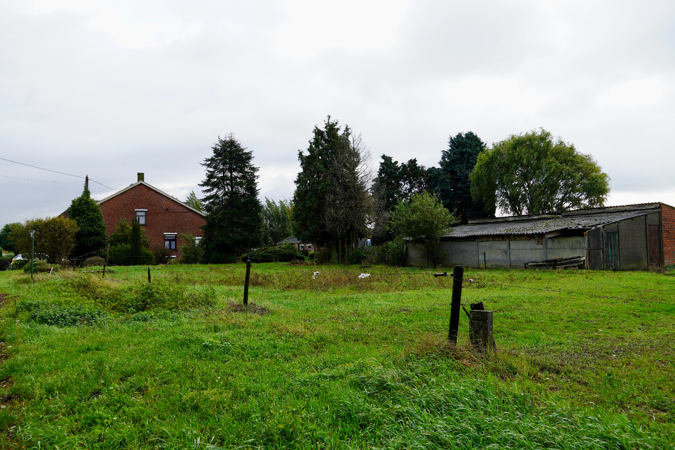 House to renovate with outbuildings and meadow on approximately 91a in Hoogstraten 